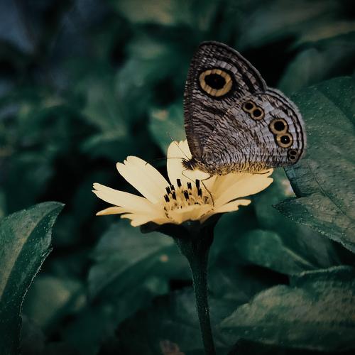 Photo #5535569