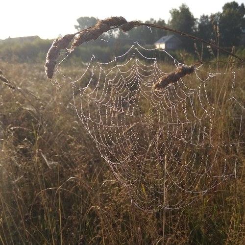 Photo #5535630