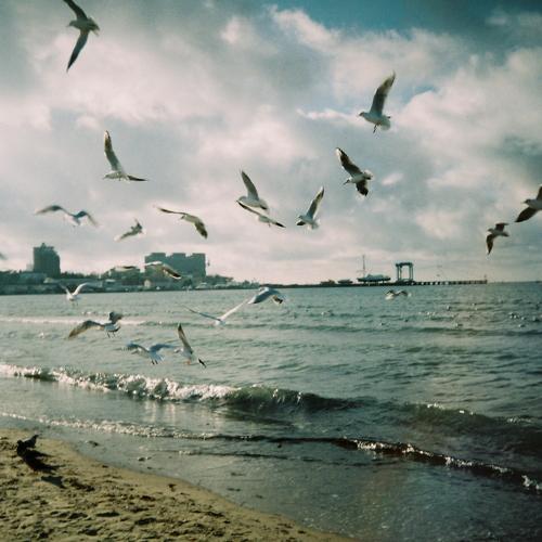 Photo #5535678