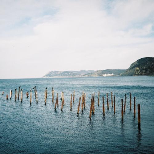Photo #5536059