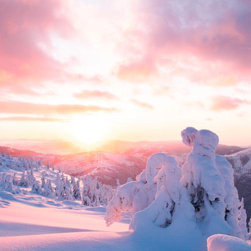 Photo #5536762