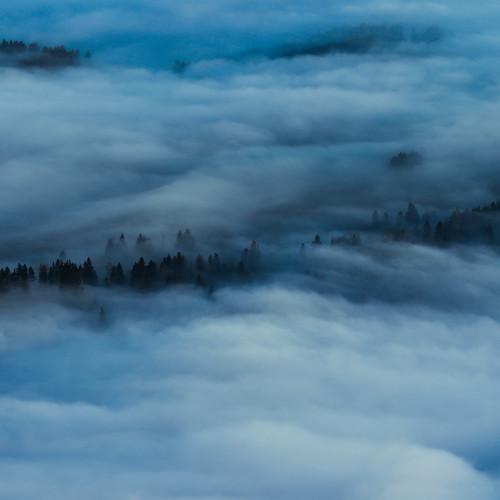 Photo #5536763