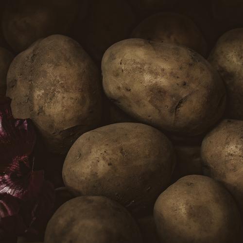 Photo #5536847