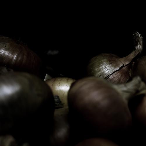 Photo #5536850