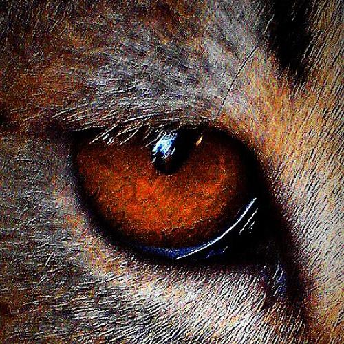 Photo #5537021