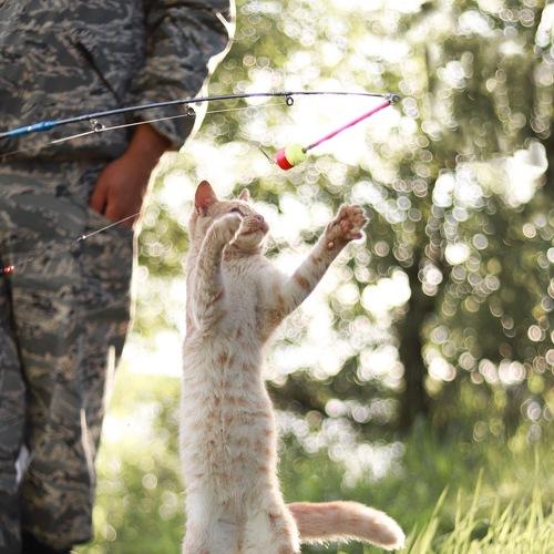 Photo #5537151