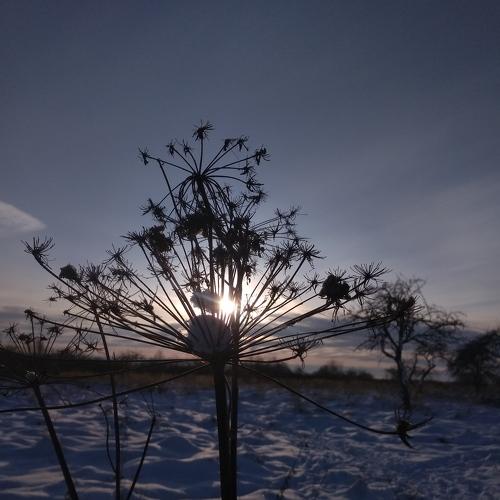 Photo #5537407