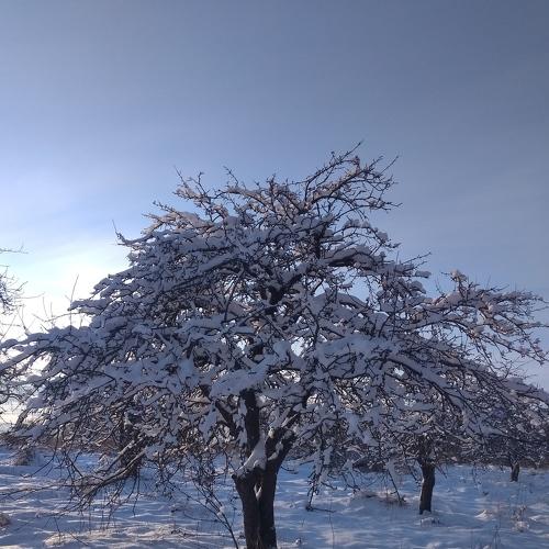 Photo #5537419