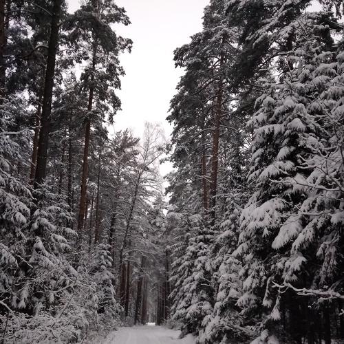 Photo #5537428