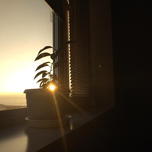 Photo #5537438