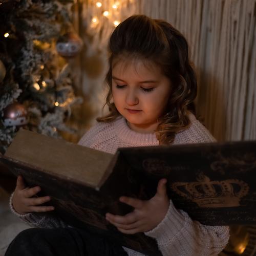Photo #5537474
