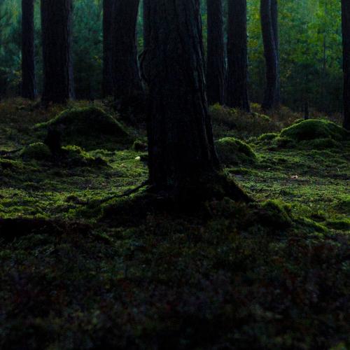 Photo #5537639