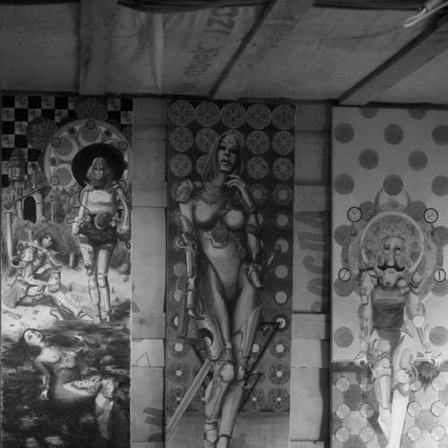 Photo #5537645