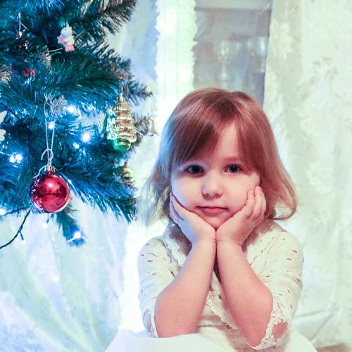 Photo #5537670