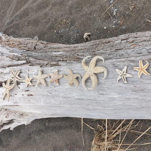 Photo #5538054