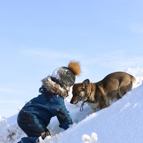 Photo #5538356