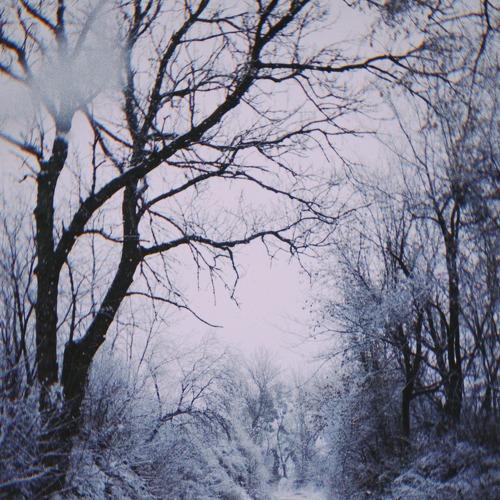 Photo #5538460