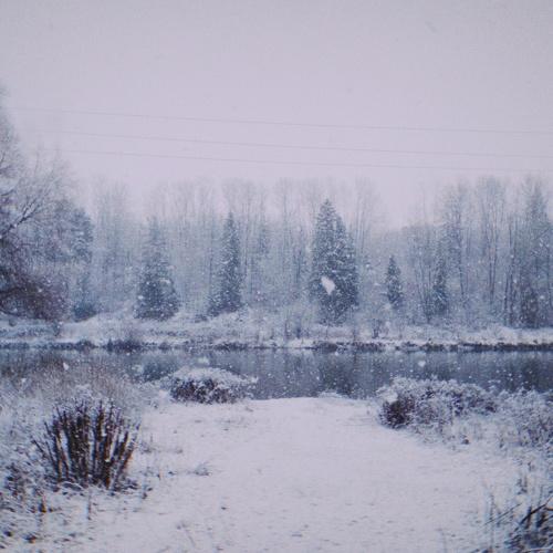 Photo #5538463