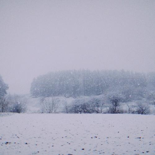 Photo #5538467