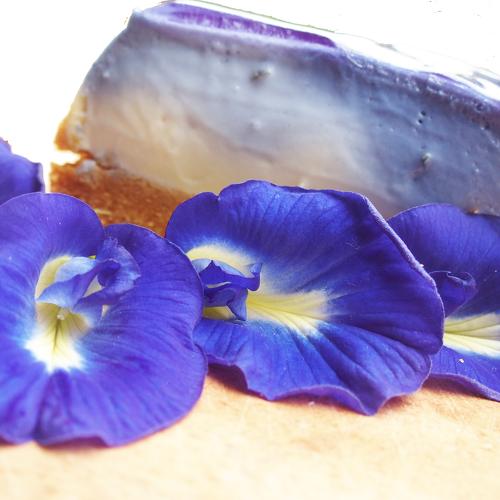 Blue Cheesecake