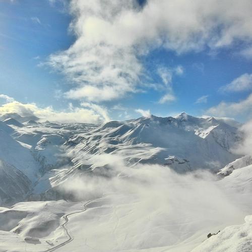Photo #5538790