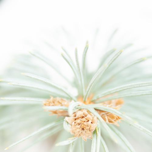 Photo #5538833
