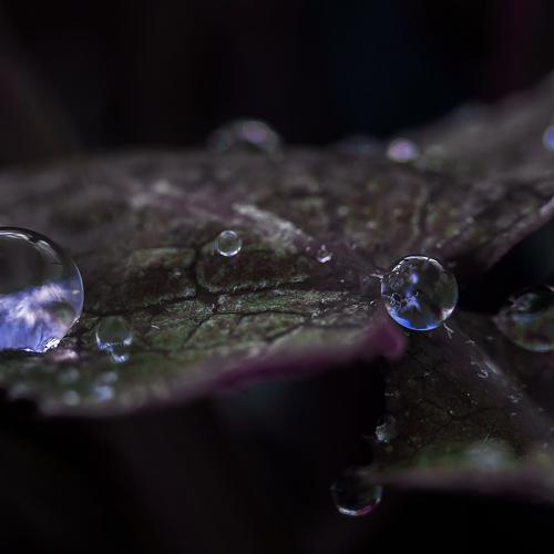 Frozen raindrops.