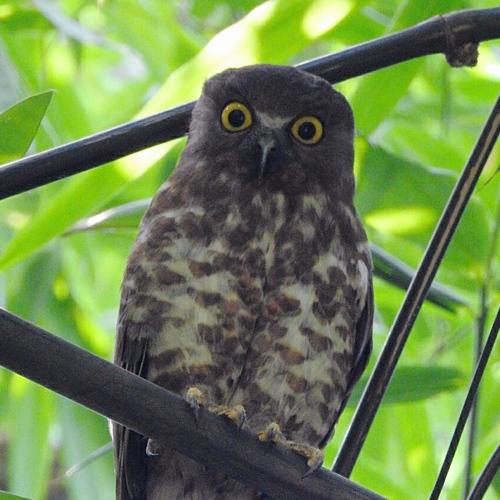 Photo #5539615