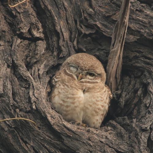 Photo #5539667