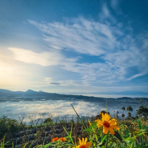 Photo #5539701