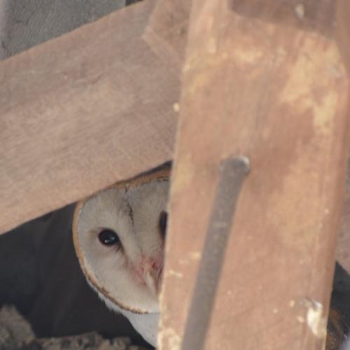 Photo #5539710