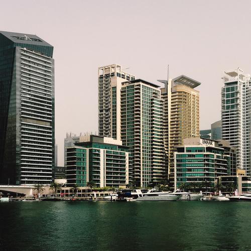Photo #5539790