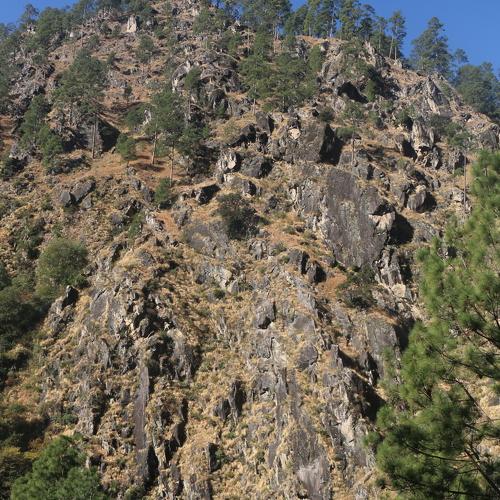 Photo #5539891