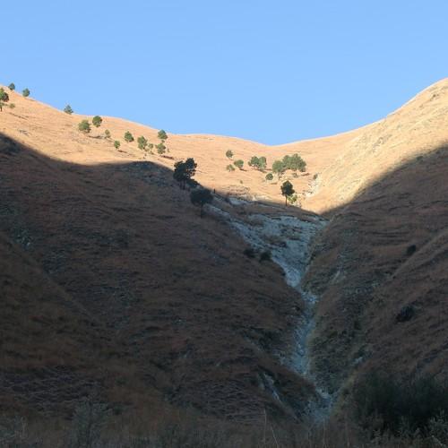 Photo #5539894