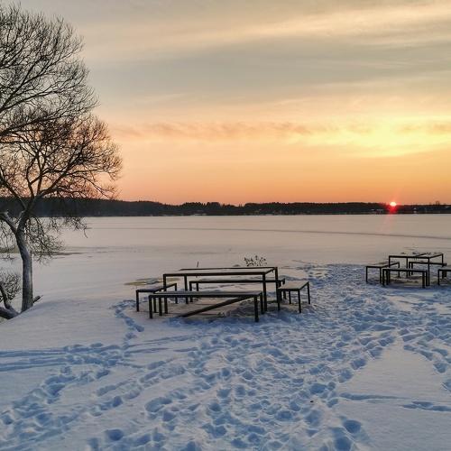 Photo #5539912