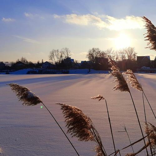 Photo #5540398