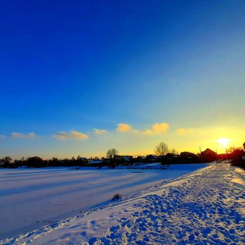 Photo #5540409