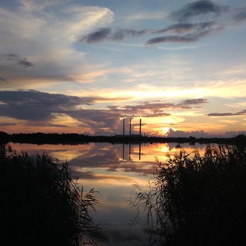 Photo #5540562