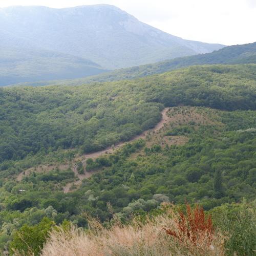 Photo #5540595