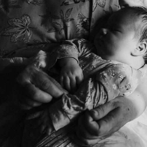 Photo #5540623