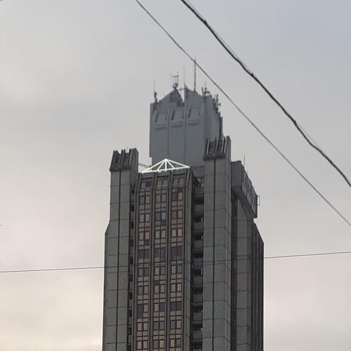 Photo #5540640