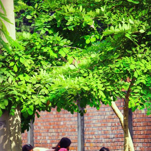 Photo #5540645