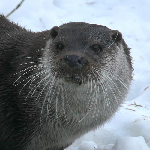 Photo #5540865