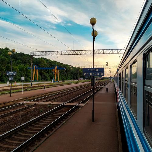 Photo #5540915
