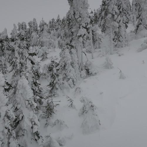 Photo #5540923