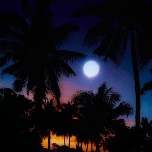 Photo #5541000