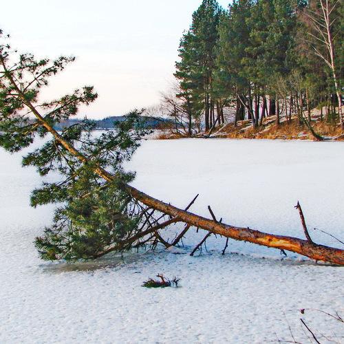 Photo #5541201