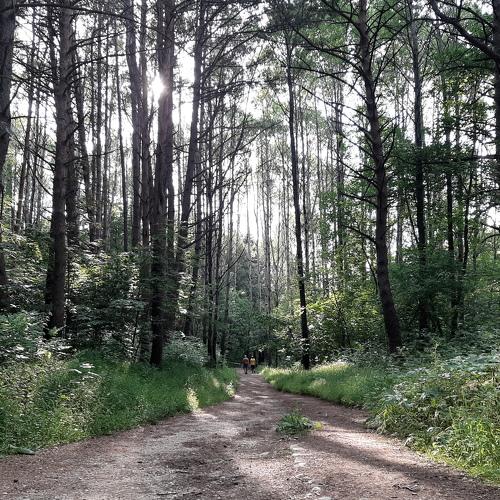 Photo #5541222