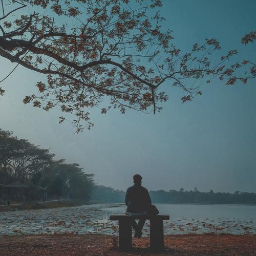 Photo #5541304