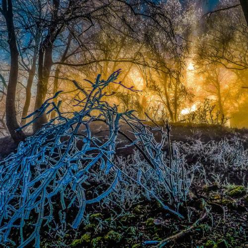 Photo #5541527